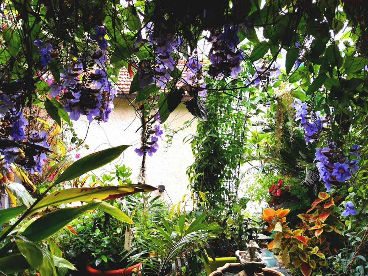 Romantic Casa Lorenzina Affittacamere ヴェンティミーリア エクステリア 写真