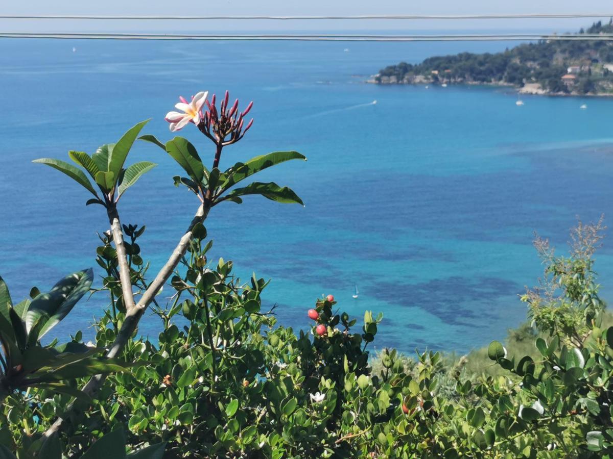 Romantic Casa Lorenzina Affittacamere ヴェンティミーリア エクステリア 写真