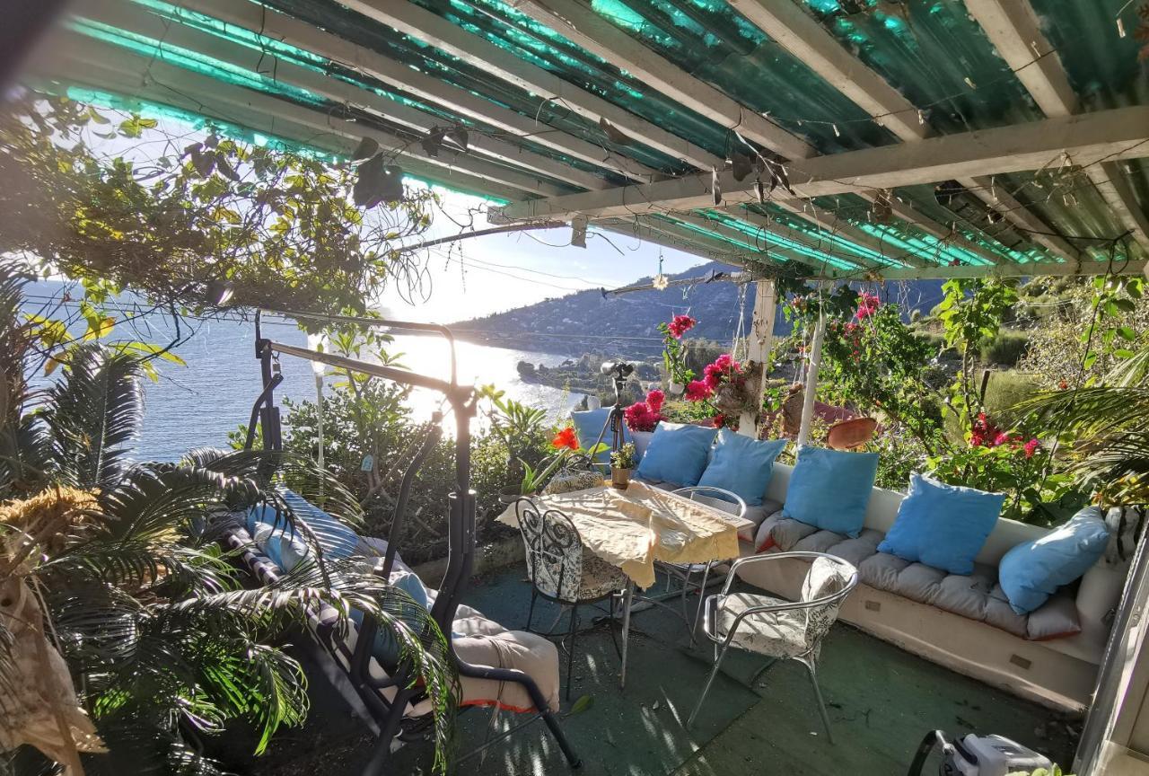 Romantic Casa Lorenzina Affittacamere ヴェンティミーリア エクステリア 写真