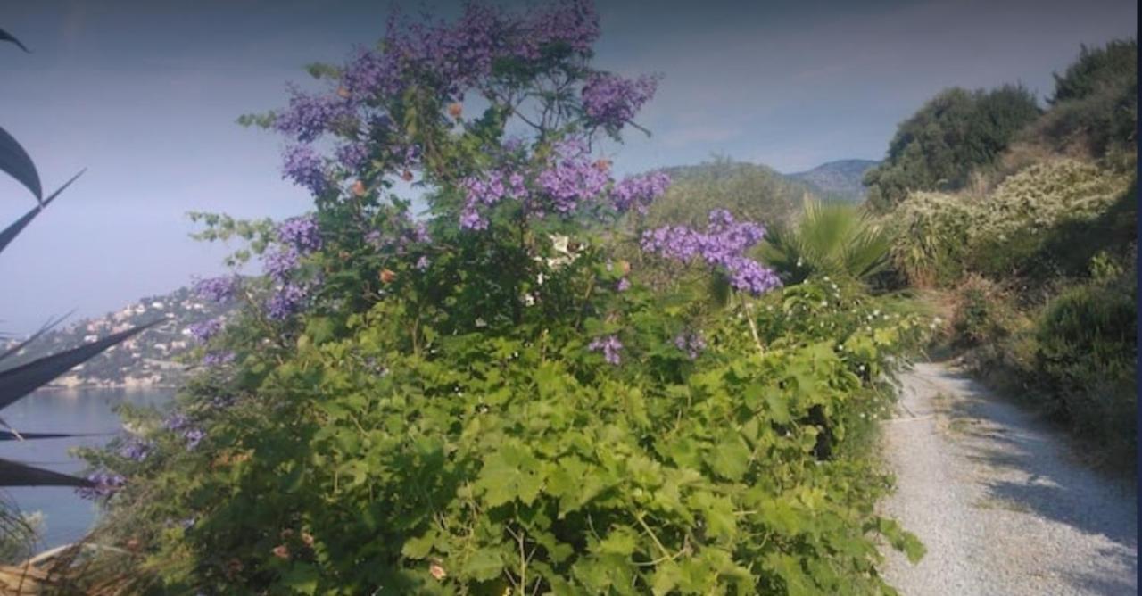 Romantic Casa Lorenzina Affittacamere ヴェンティミーリア エクステリア 写真