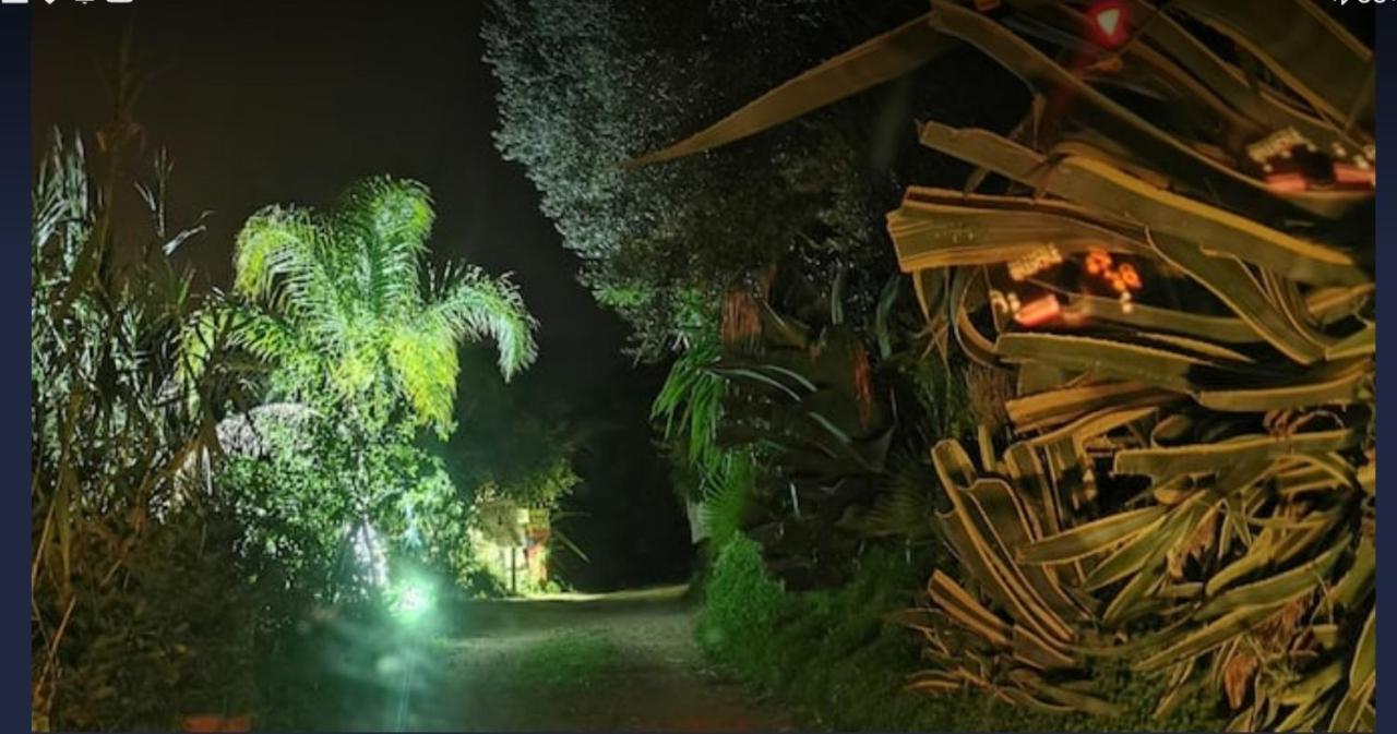 Romantic Casa Lorenzina Affittacamere ヴェンティミーリア エクステリア 写真