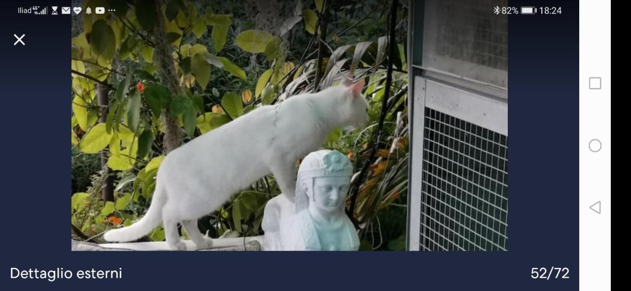Romantic Casa Lorenzina Affittacamere ヴェンティミーリア エクステリア 写真
