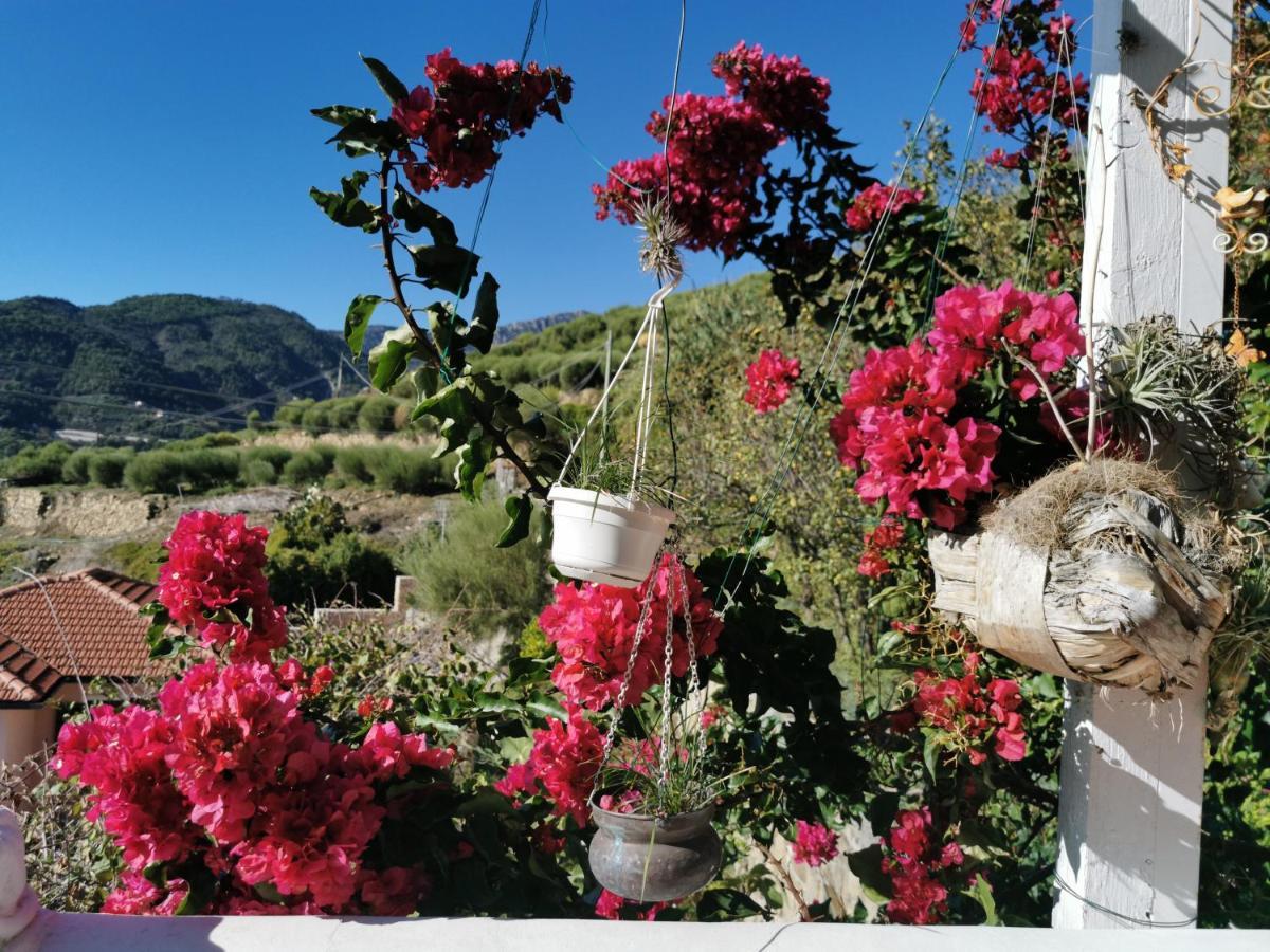 Romantic Casa Lorenzina Affittacamere ヴェンティミーリア エクステリア 写真