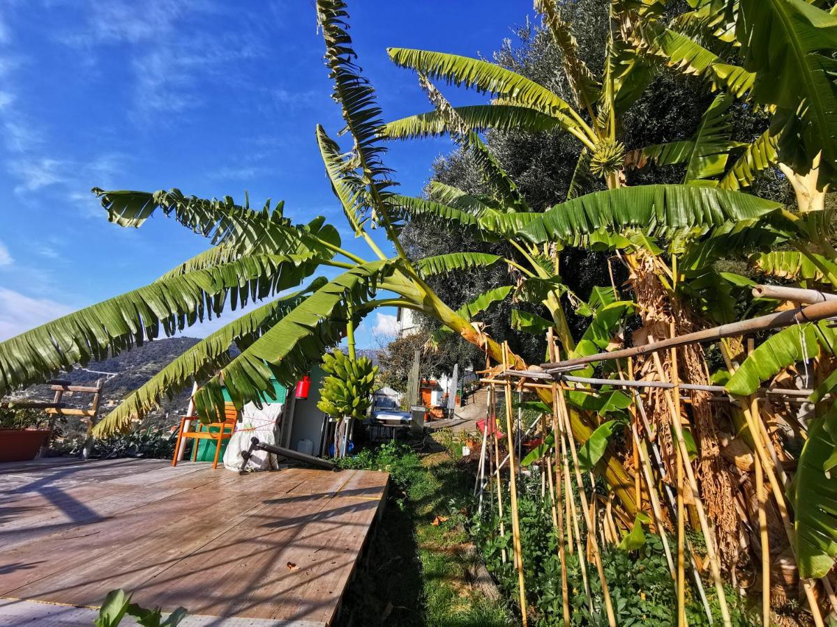 Romantic Casa Lorenzina Affittacamere ヴェンティミーリア エクステリア 写真